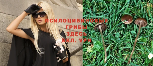 ПСИЛОЦИБИНОВЫЕ ГРИБЫ Елизово