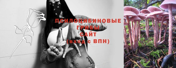 ПСИЛОЦИБИНОВЫЕ ГРИБЫ Елизово
