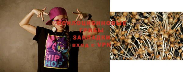 а пвп мука Елабуга
